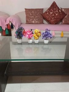 Artificial Plants Decor