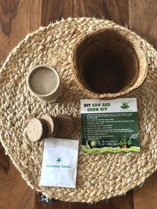 DIY Sow and Grow Kit - Cosmos Seeds