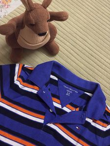 Tommy Hilfiger Striped Polo Shirt