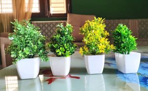 Any 1 Artificial Plant