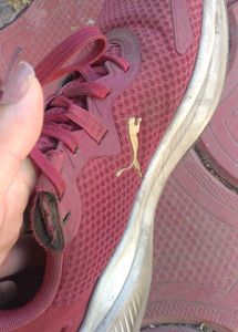 Maroon Puma Sneakers