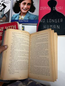 Collection of Popular Novels