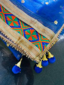 Vibrant Blue Embroidered Net Dupatta