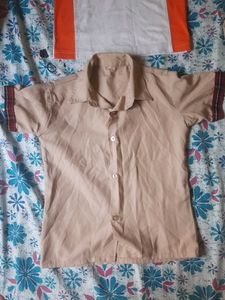 combo of shirt/tshirt