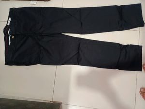 Trouser Pant