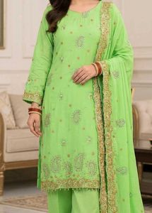 plus size Lime Green Embroidered Suit Set
