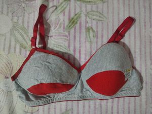 Comfortable Grey & Red Bra 28B