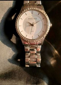 Skagen Denmark Women's Watch Steel