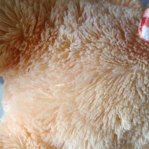 Cute Teddy Bear Plush Toy