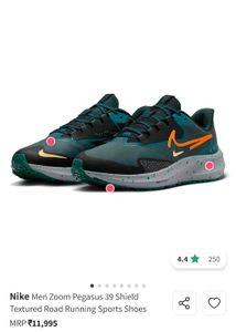 Nike Zoom Pegasus 39 shield