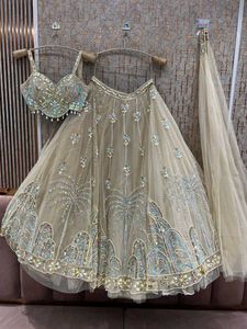 PDP Beige Colour Crop Top Lehga