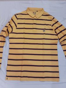 Combo of 2: STAR Men's Polo Full Sleeve Striped T-