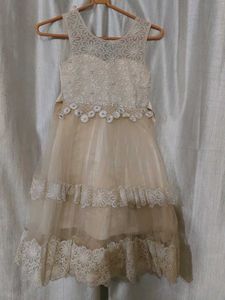 Elegant Lace Trimmed Tulle Dress for Girls