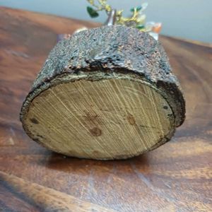 Gemstone Vaastu/ Fengshui Bonsai Wood Tree