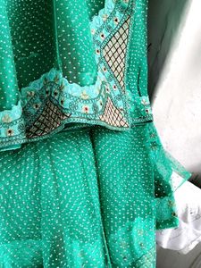 Green net saree with  Blouse