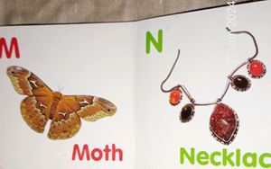 Baby Book 📚