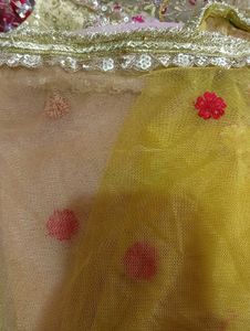Stunning Embroidered Lehenga Choli Set