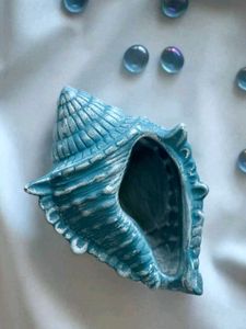 Decorative Blue big Seashell bowl