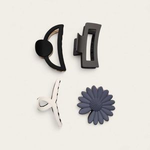 Set of 4 Chic Hair Clips
