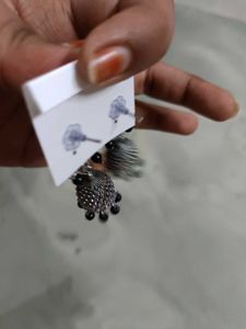 Oxidised peacock 🦚Jhumka with black beadsEarrings