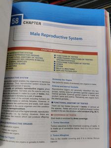 Essentials of Physiology for Dental Students