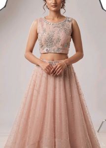 NEW Embellished Lehenga Set