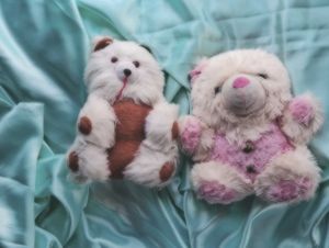 Cute Teddy Bears combo