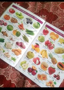 Vidhyas All-In-One English Kannada Hindi Book