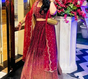 Sequins Embellished Lehenga With Hand_work choli