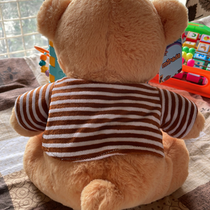 soft teddy bear
