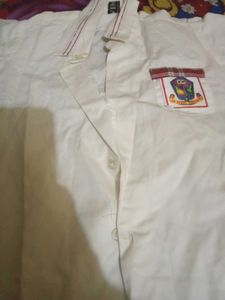 Classic White Shirt school dress