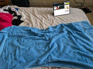 2 Bath Towels -Preowned