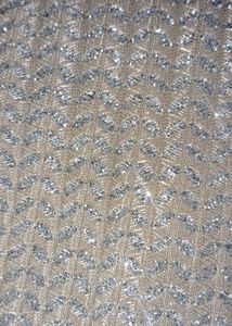 Sparkling Embroidered  Fabric