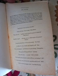 Mr Maybe By Jane Green
