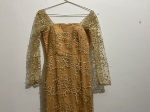Elegant Ethnic Gown