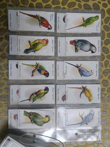 Vintage Bird Cards
