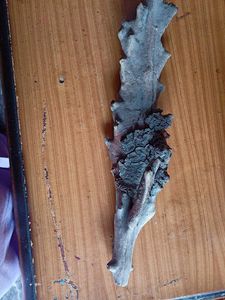 Driftwood Wall Art