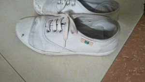 White Canvas Lace-Up School Shoes
