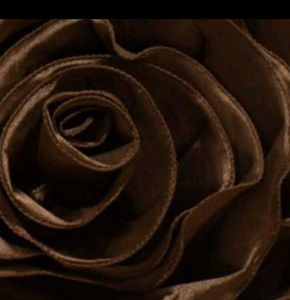 Elegant Brown Floral Cushion Cover