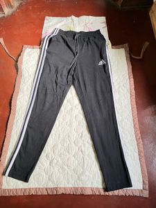 Adidas Men's Black jogger Pants
