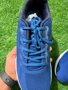 Campus Shoes Box