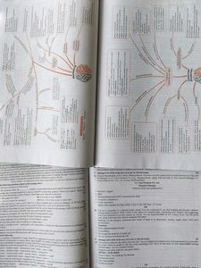 combo of Business studies and English Core Oswal s