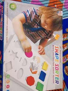 Shape Sorter Toy