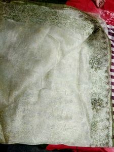 Organza Clothe Saree With Thread And Sequence Work