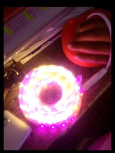 LED Strip Lights - 6 Colors Running