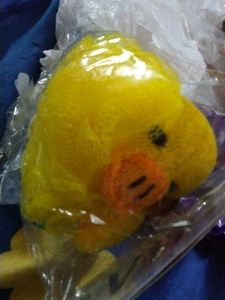 Cute Designer  Duck 🦆 Scrubers For Children