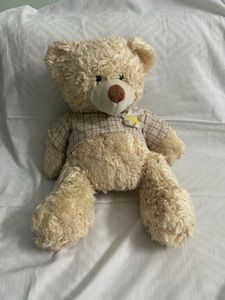 Teddy Bear Premium Quality Plush Toy