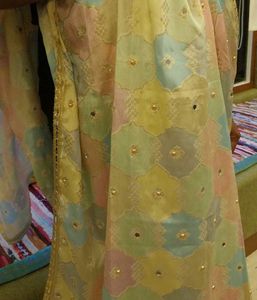 Beautiful Pastel duppata