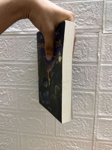 Harry Potter and the Philosopher's Stone (Fairly N