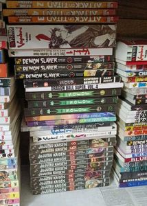 Mixed Book Lot: Manga, Fiction, and More!